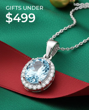 Gifts $499 and under