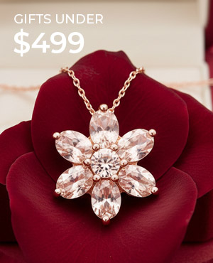 Gifts $499 and under